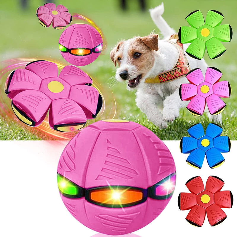 Bola Mágica para Pets FlyBall