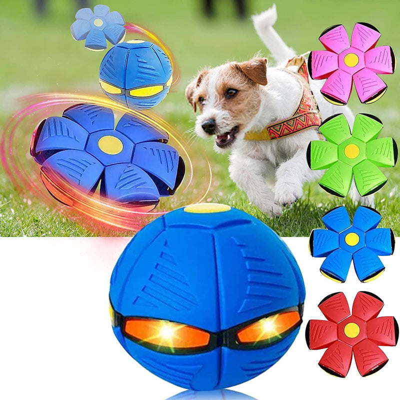 Bola Mágica para Pets FlyBall