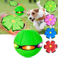 Bola Mágica para Pets FlyBall