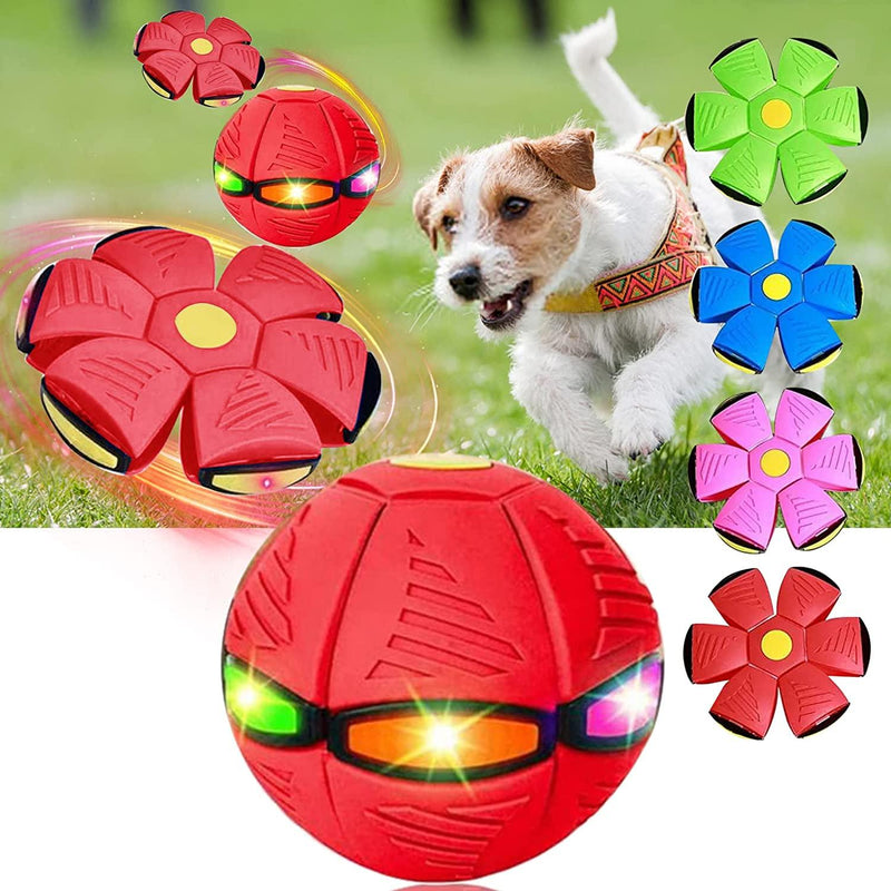 Bola Mágica para Pets FlyBall